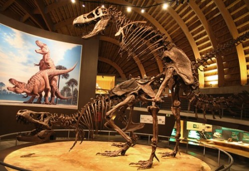 Tyrannosaurus at Museo Jurasico de Asturias. Source