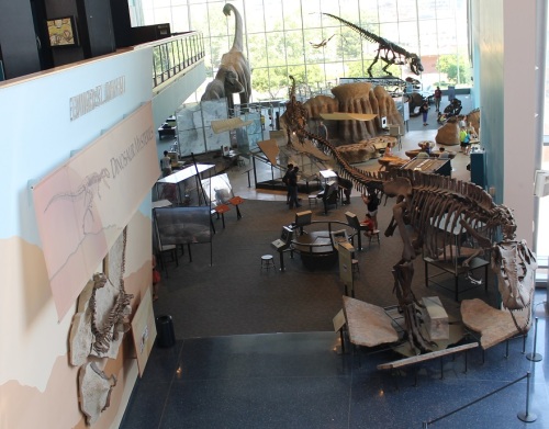 Dinosaur Mysteries from the second floor. Photo by the author.