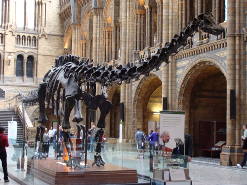 The dinosaurs of London's Natural History Museum