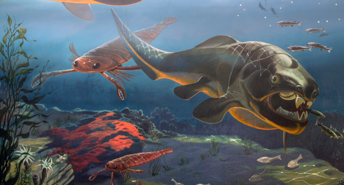 liopleurodon vs megalodon vs dunkleosteus