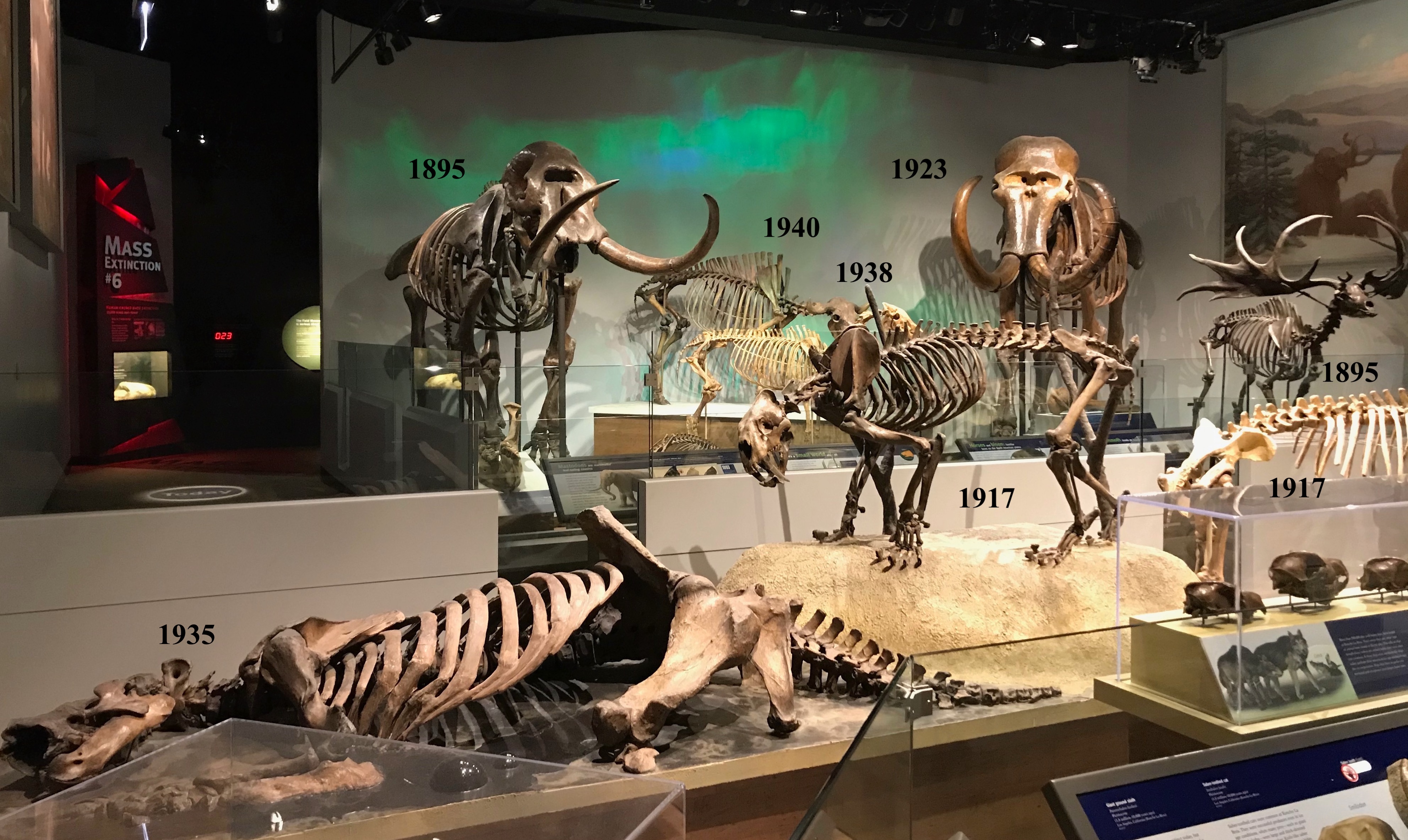 EXTINCT MONSTERS   Art, History, and Science of Museum Paleontology